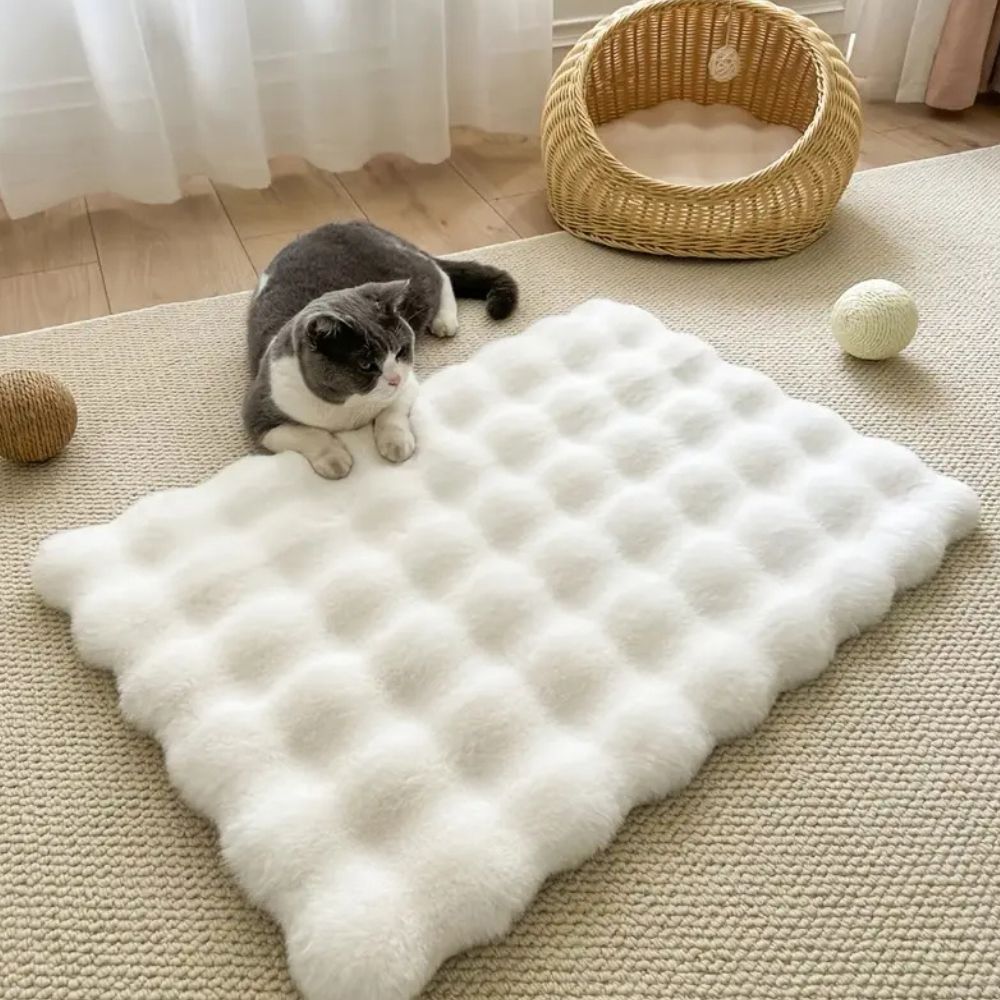 Pet Essentials Sale