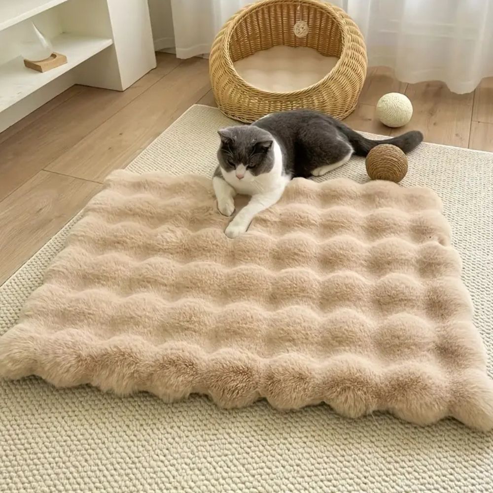 Pet Essentials